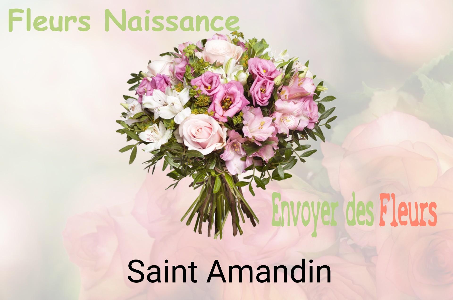Bouquet de fleurs de naissance livré à Saint-Amandin